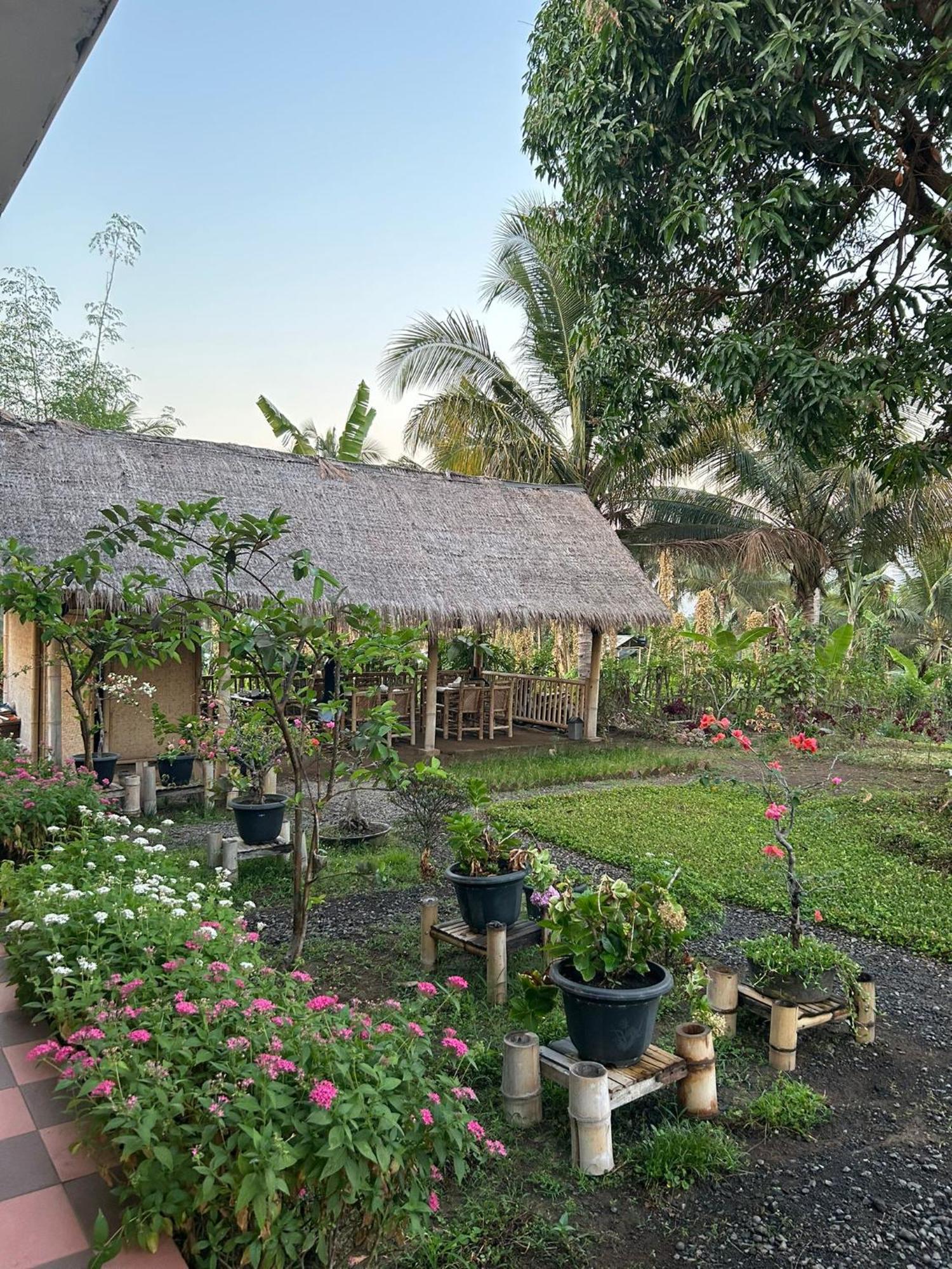 Rinjani Eco Villa Senaru Bayan Exterior foto